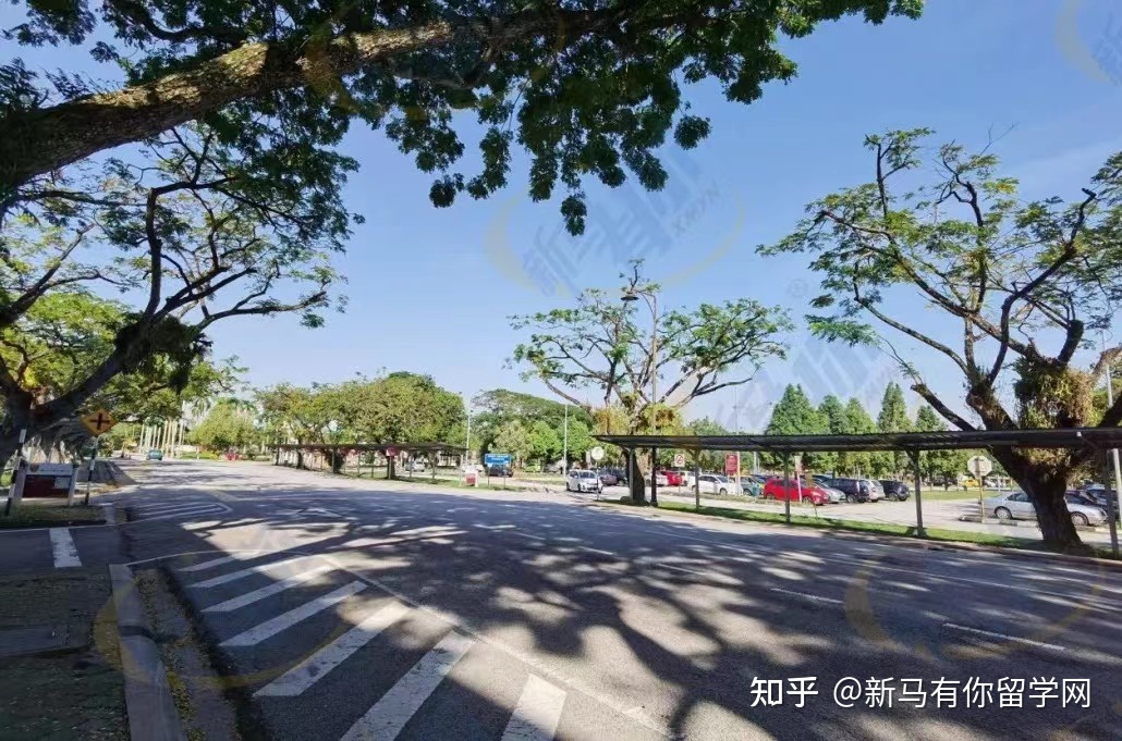 博特拉大学(图9)